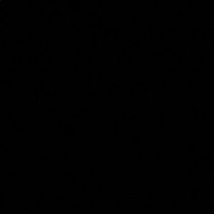 Meet your Posher, Lebo